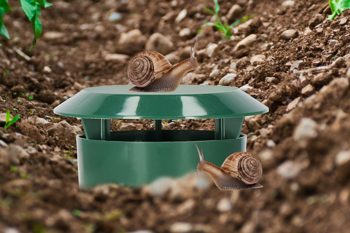 Wait and Check Regularly