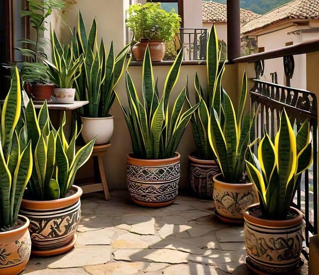 22ca3d6d98844df44219753df77c6b72