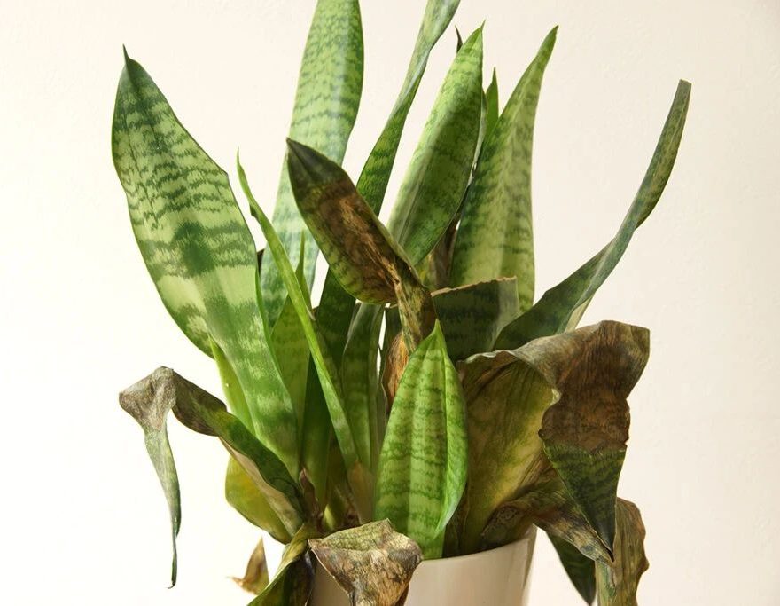 970394812b33ea33e3104f1a8f5c7936