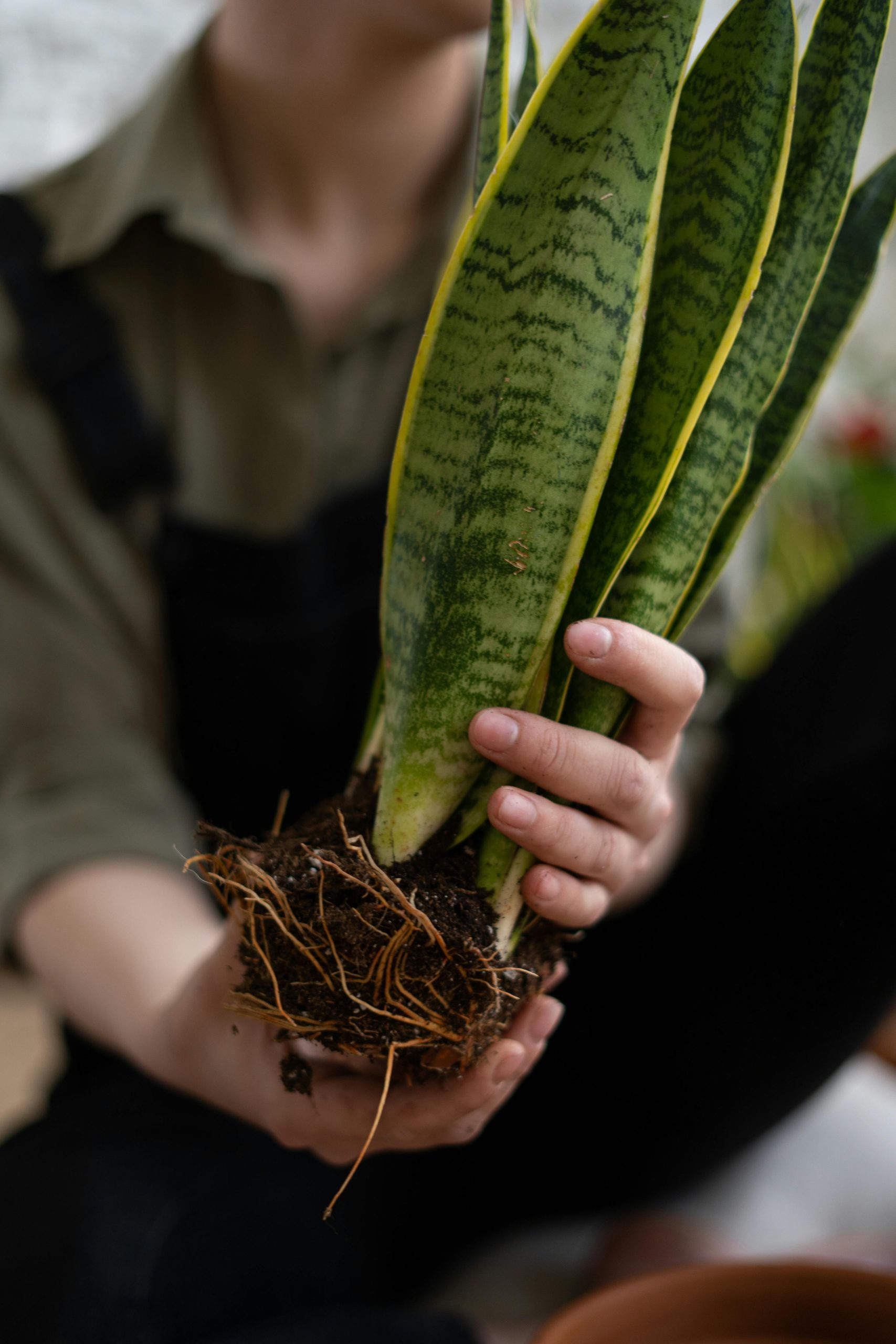 pexels-cottonbro-4505167