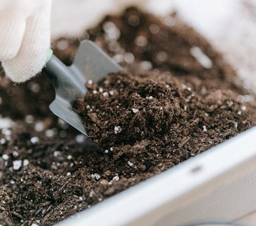 pexels-photo-9413735