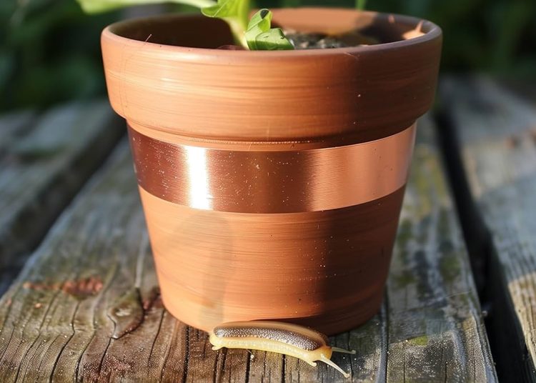 Best Copper Tape for Slug