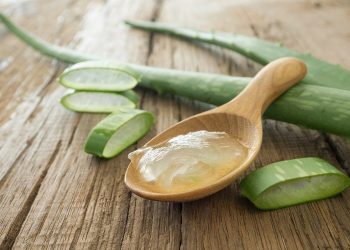 Can I use aloe vera gel as a rooting hormone?
