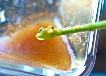 Can I use honey instead of rooting hormones1