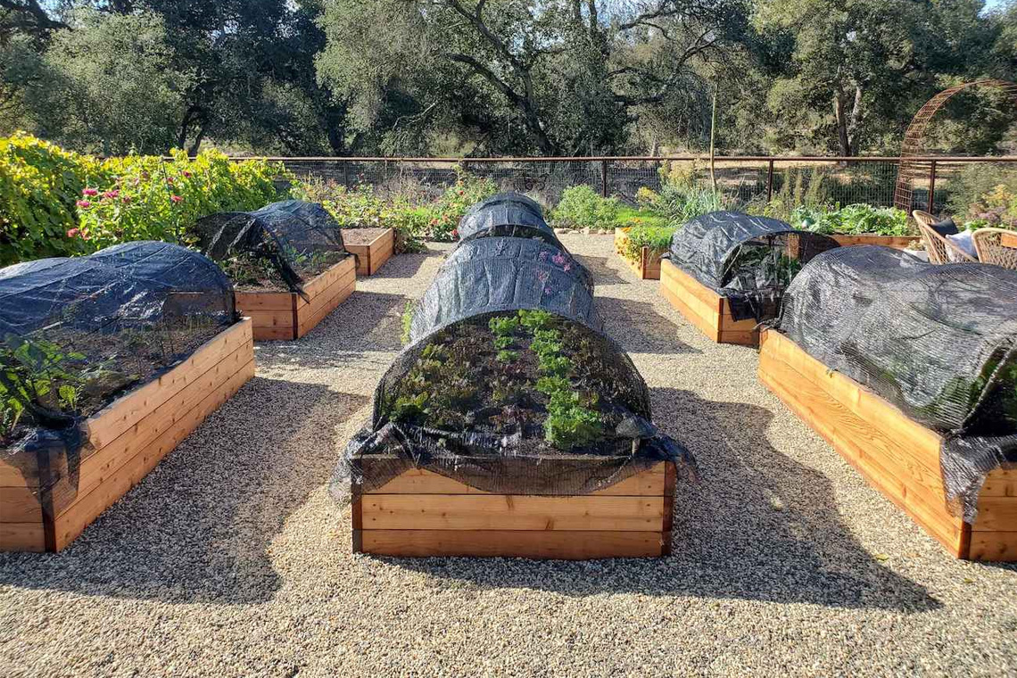 Create a Dry Zone  for plant with splugs