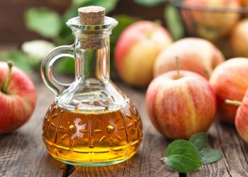 Does Vinegar Work as Rooting Hormone?