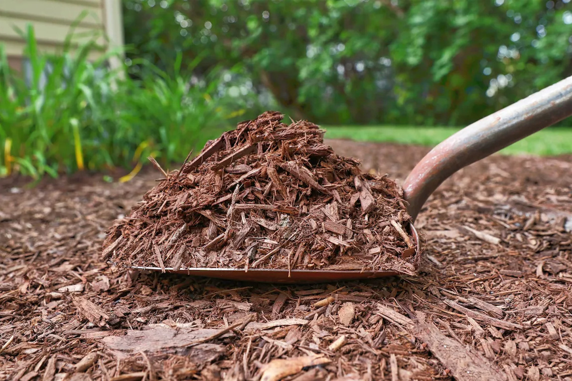 Mulch with Sharp or Textured Materials