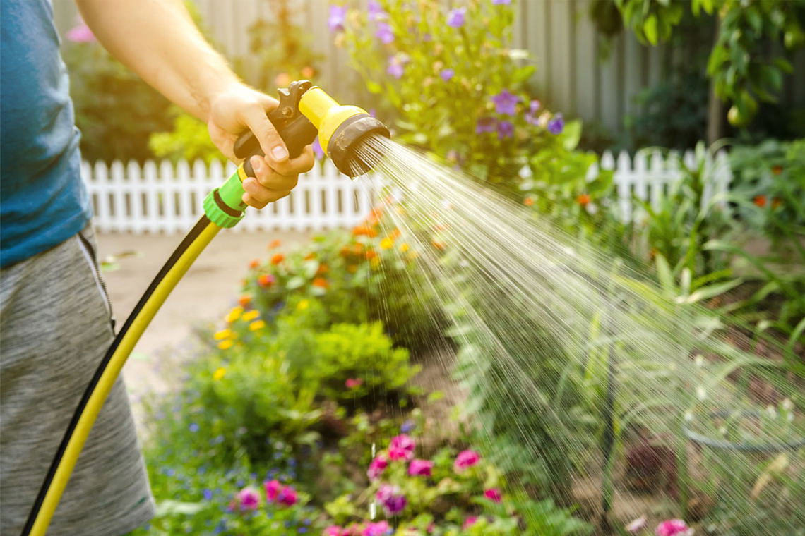 Watering Schedule Adjustments