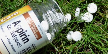 does aspirin work as a rooting hormone