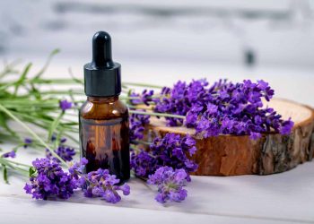 HOW TO MAKE LAVENDER OIL
