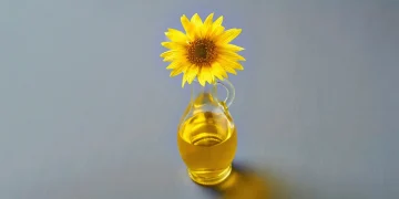 IS SUNFLOWER OIL BAD FOR YOU? THE TRUTH ABOUT THIS COMMON COOKING OIL