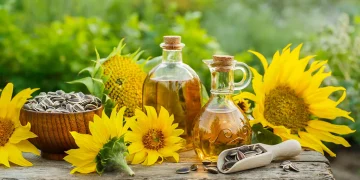 WHAT IS HIGH OLEIC SUNFLOWER OIL